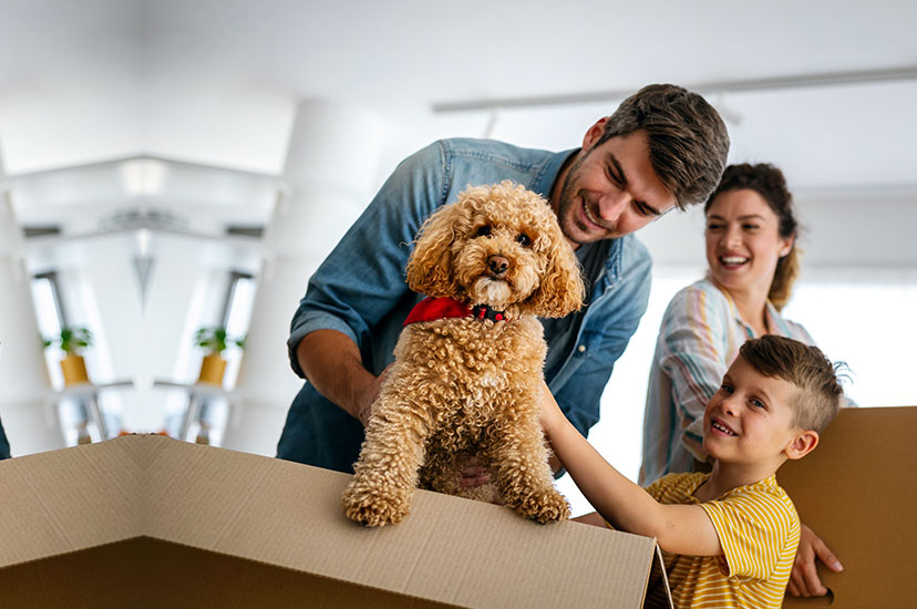 new movers marketing for families