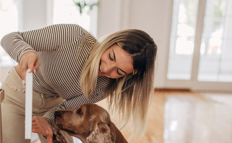consumer data on pet owners and pets